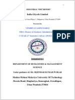 Igl Gida Report New VINDHAYVASINI PDF