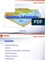 96426810-AMBIENTES-SEDIMENTARIOS.pdf