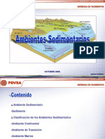 Ambientes Sedimentarios PDF