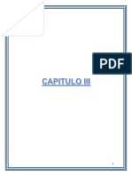 CAP II y IV listo-1.docx