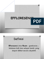 Eflorosensi