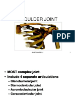 Anatomy F6 Shoulder Joint