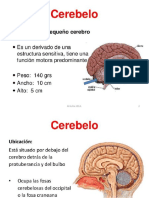 Cerebelo