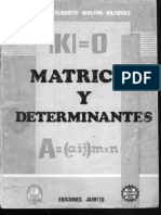 determinantes.pdf