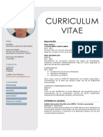 Ejemplo de Curriculum Vitae 