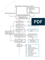 Pathophysiology of Tetralogy of Fallot