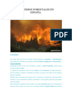 Incendios Forestales