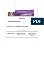 Formato Ecosistemas Antropizados 2019 2