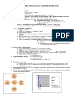 ISTORIE - romanitatea_romanilor.pdf