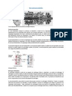 Servotransmisión