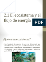 Ecosistema y Flujo de Energia