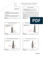 2011 Morfologija 9 Vjezba 52 55 PDF