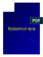 26 M leprae.pdf