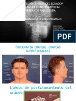 Topografía craneal y proyecciones de cráneo y cara