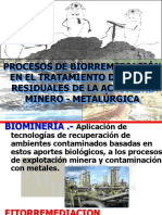 BIORREMEDIACION MINERA.pdf