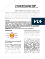 Glucólisis en Células Cancerígenas Del Glioma Cerebral (Proyecto Final)