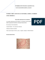 Denticion Histologia