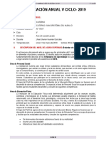 PLANIFICACION CURRICULAR 5º - 2019.docx