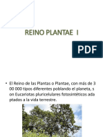 Reino Plantae