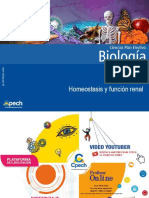 Funcionamiento Renal