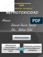 Nefrotoxicidaddefarmacos 110810130019 Phpapp01