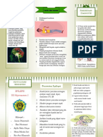 Epilepsi Leaflet Ip Xiik2