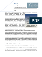 Resumen Ejecutivo Ley Sociedades Comerciales y Empresas Individuales de Responsabilidad Limitada LG PDF