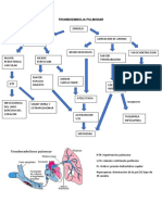 Fisioátologia de Enfermedades Respiratorias