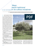IG_AGROCSIC.pdf