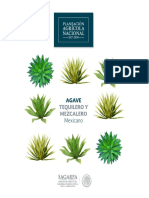 agave en mexico.pdf