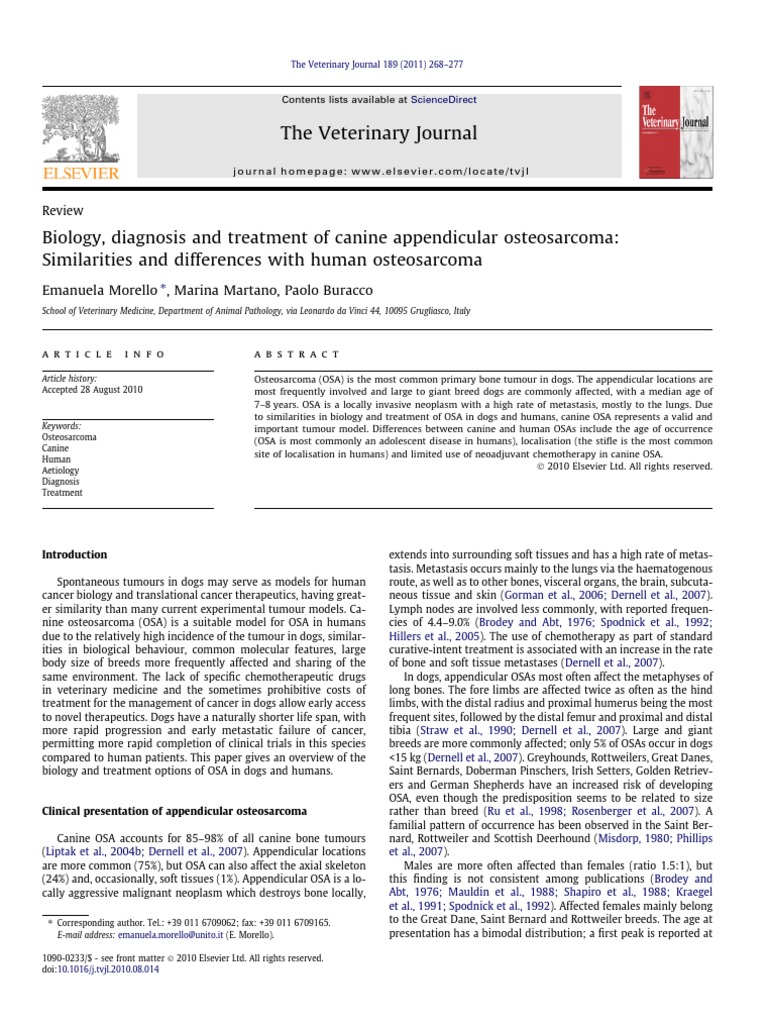 Biology, Diagnosis and Treatment of Canine Appendicular Osteosarcoma ...