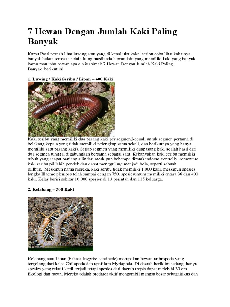 7 Hewan Dengan Jumlah Kaki Paling Banyak | PDF