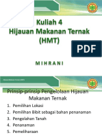 HMT 5