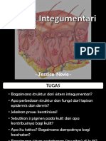 Sistem Integumentari