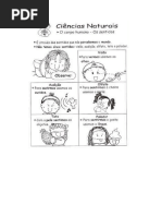 Órgãos Dos Sentidos