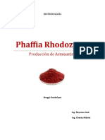 BIOTECNOLOGÍA - Phaffia Rodozyma