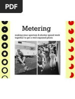 Metering: Making Your Aperture & Shutter Speed Work Together To Get A Well Exposed Photo