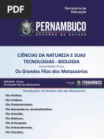 Os grandes filos dos metazoários.ppt