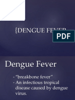 Dengue Fver