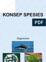 Konsep Spesies