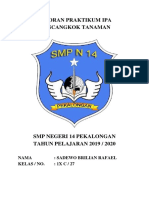 Laporan Praktikum Ipa Mencangkok