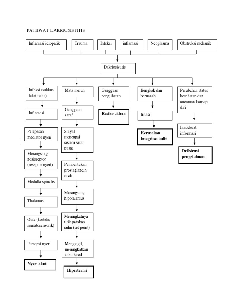 Pathway Dakriosistitis | PDF