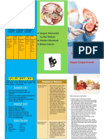 Leaflet Diet RP CKD