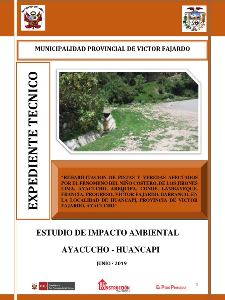 Estudio de Impacto Ambiental en Huancapi | PDF | Evaluación de impacto ...
