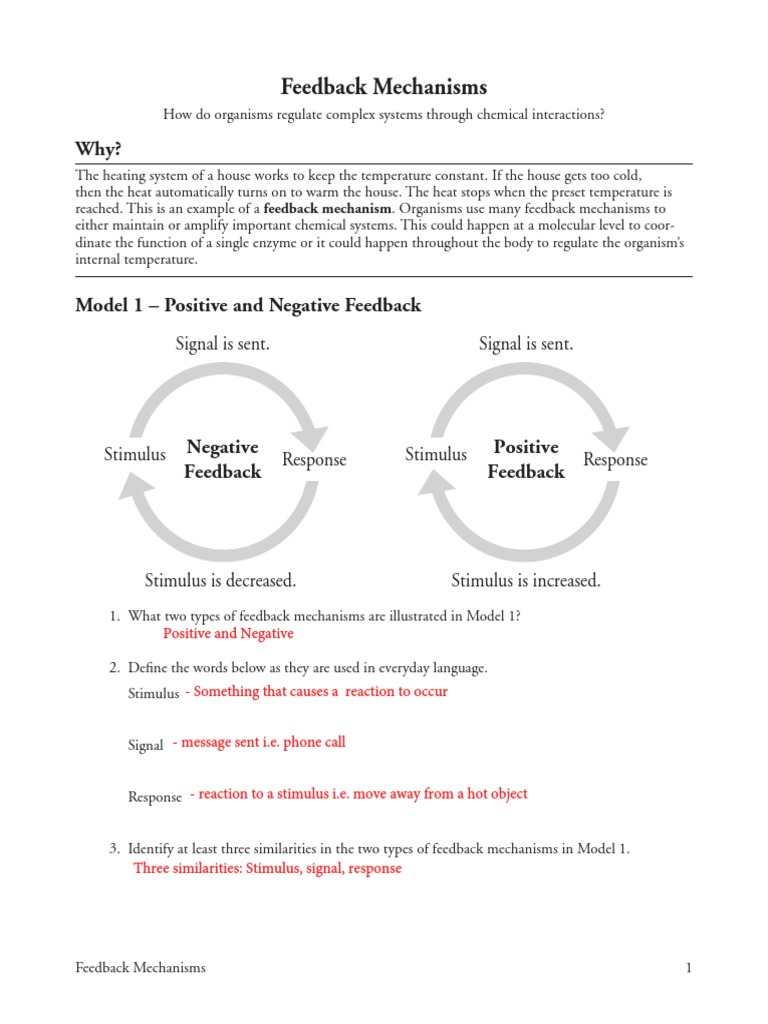 27 Feedback Mechanisms Pogil Key Pdf Feedback Thermoregulation