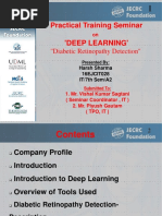 Internship Presentation On Deep Learning