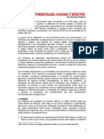 INCENDIOS_FORESTALES_Causas_y_efectos.pdf