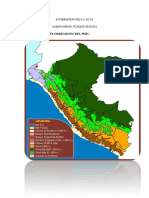 Trabajo de Ecorregones Selva Alta