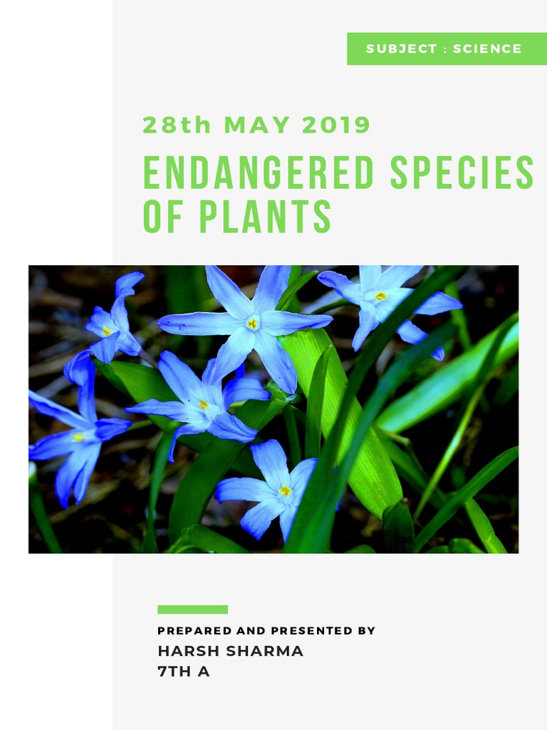 Endangered Species of Plants in India. | PDF | Organisms | Plants