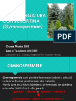 Gimnosperme - Ene Oana + Andrei Anca